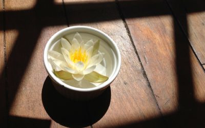 Histoire de la tasse de thé