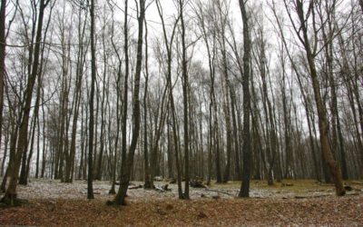 Se transformer grâce au pardon