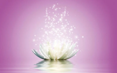 Un choix conscient pour cette nouvelle année