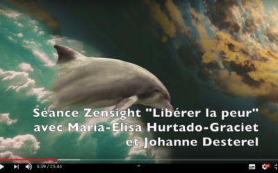 « Libérer la peur » avec le Zensight par Johanne Desterel