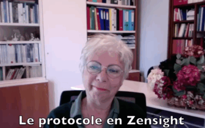 « Utiliser le Zensight et faire appel à votre guérisseur intérieur »